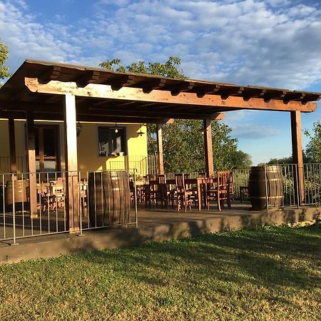 Agriturismo Petrognano SantʼEllero エクステリア 写真