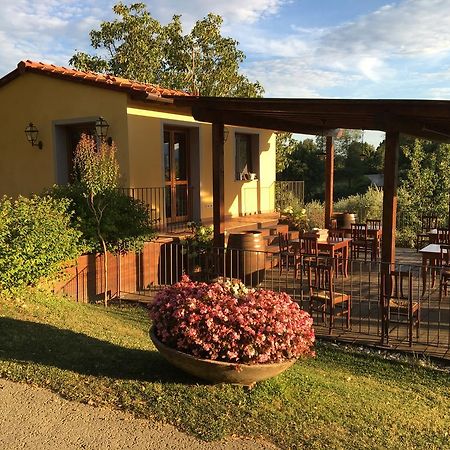 Agriturismo Petrognano SantʼEllero エクステリア 写真