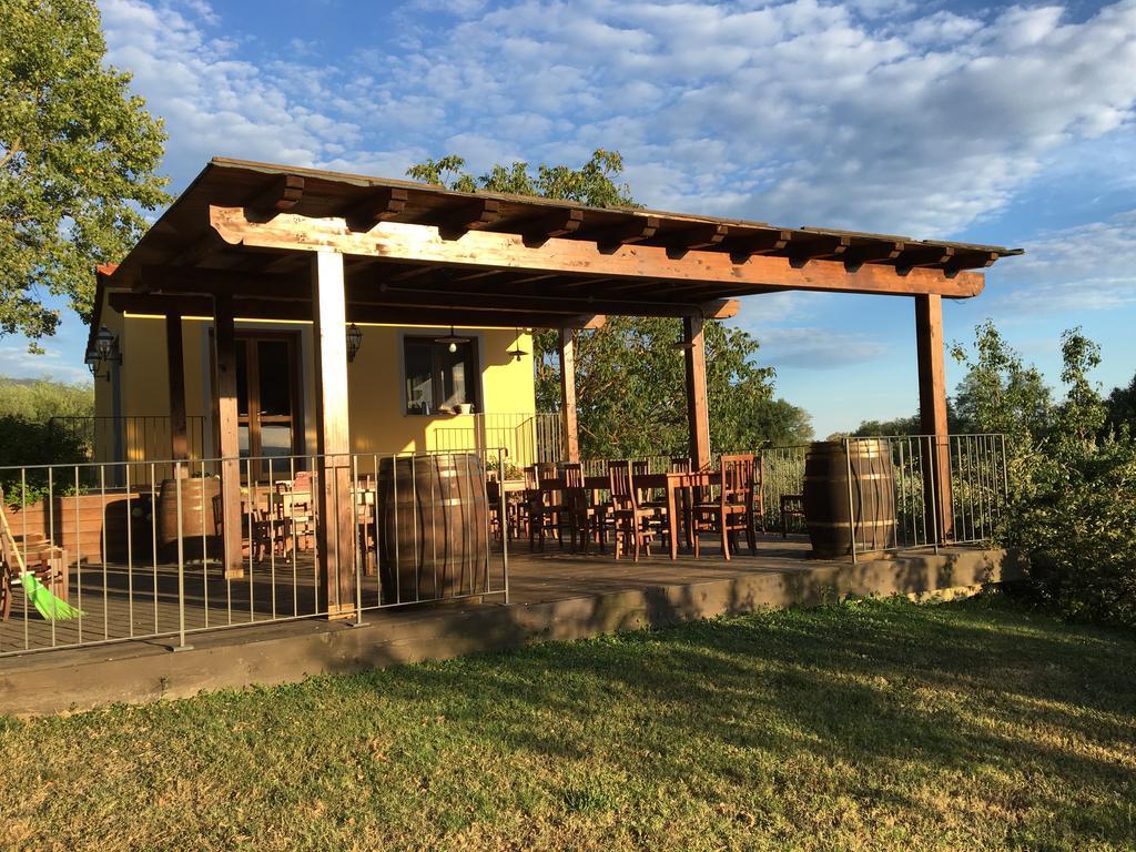 Agriturismo Petrognano SantʼEllero エクステリア 写真